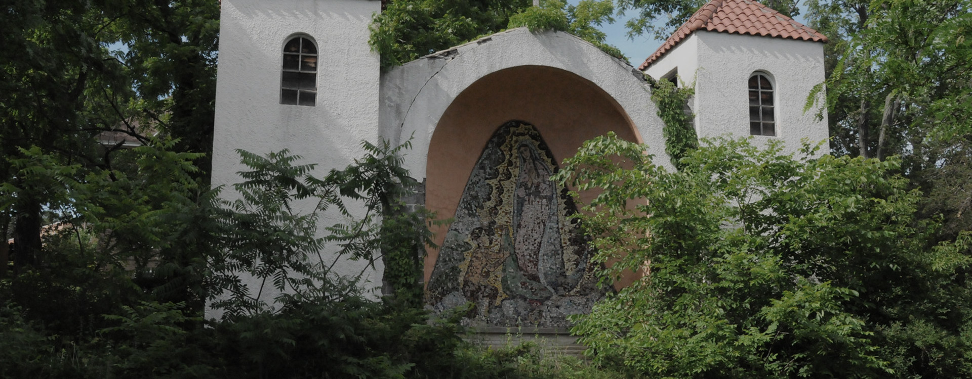 Image Alt